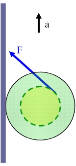 YoYo047.jpg