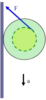 YoYo048.jpg