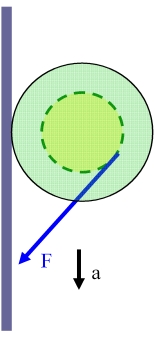 YoYo049.jpg