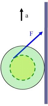 YoYo050.jpg