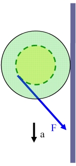 YoYo052.jpg